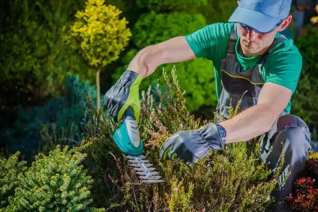 landscaping services Bardonia